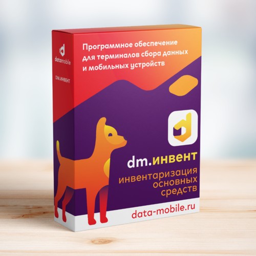 DataMobile Инвентаризация ОС